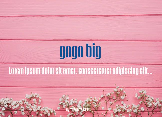 gogo big example